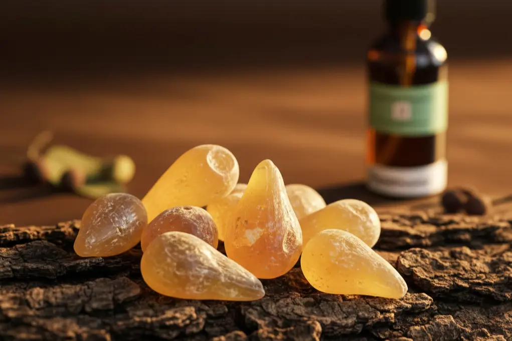 Raw frankincense resin tears on tree bark – natural source for Frankincense Oud Spray