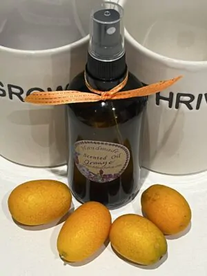 Hand Made Vegan Orange Scented Oil Spray