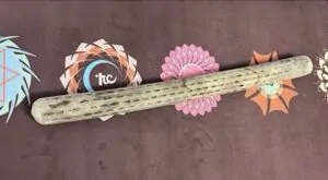 Rain Stick