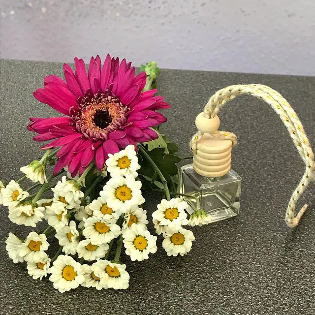 TRAVEL DIFFUSER