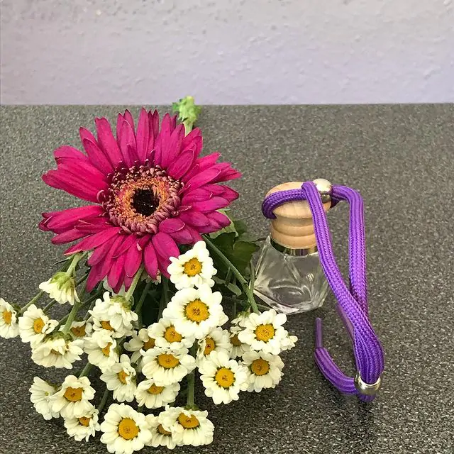 TRAVEL DIFFUSER - Image 4