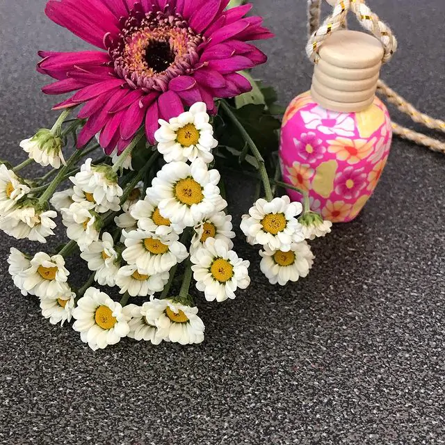 TRAVEL DIFFUSER - Image 3