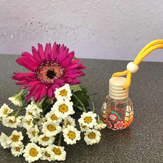 TRAVEL DIFFUSER - Image 2