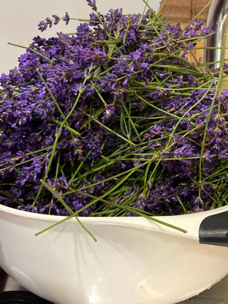 Vegan hand made Lavender Soap Bar - Image 4