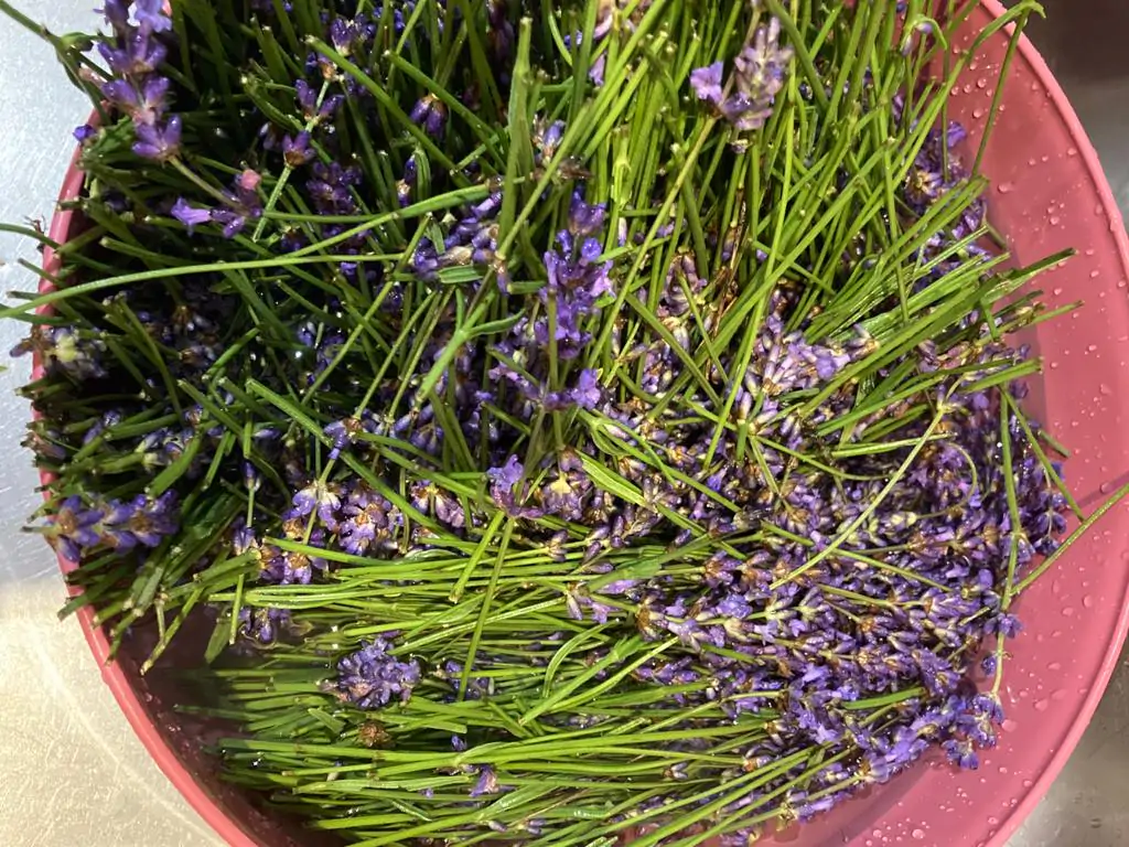 Vegan hand made Lavender Soap Bar - Image 3