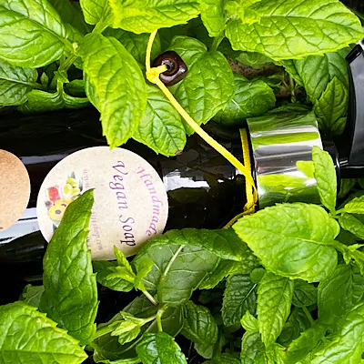 Spearmint Liquid Soap - Image 2