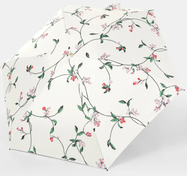 Umbrella