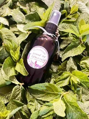 Spearmint essential oil